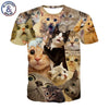 Image of Surprised Cats T-shirt