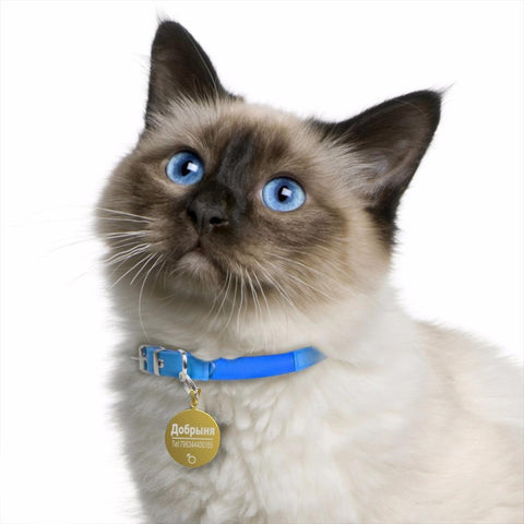 FLOWGOGO Anti-lost Stainless Steel Dog ID Tag Engraved Pet Cat Puppy Dog Collar Accessories Telephone Name Tags Pet ID Tags