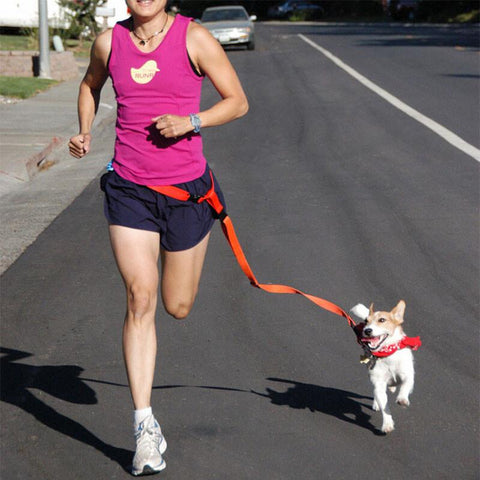 Handsfree Running Dog Leash