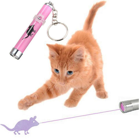 Interactive LED Light Training Funny Pet Dog Cat