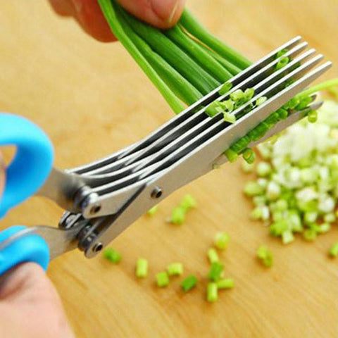 Stainless Green Onion 5 Blade Herb Scissors