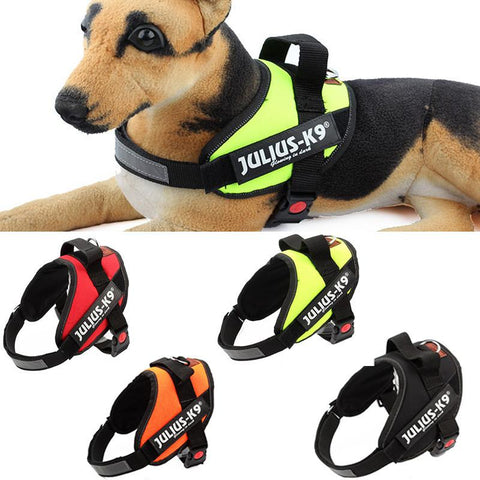 Sturdy and Durable K9 Nylon Pet Dog