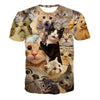 Image of Surprised Cats T-shirt