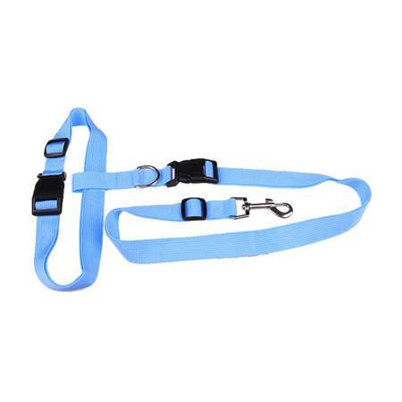 Handsfree Running Dog Leash