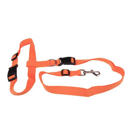 Handsfree Running Dog Leash