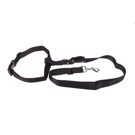 Handsfree Running Dog Leash