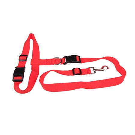 Handsfree Running Dog Leash