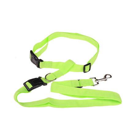 Handsfree Running Dog Leash